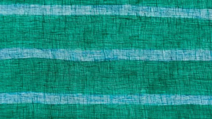 India's art show line up for 2024