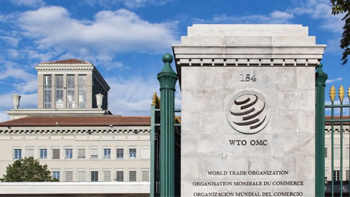 India's Rapid Economic Growth Is Linked To Strong Trade Growth: WTO India's Growth Story I WTO
