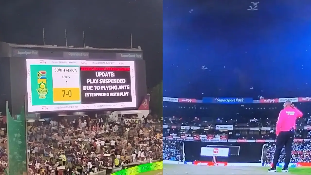 Rare Sight In The History of Cricket! Not Rain But Flying Ants Halt India vs South Africa 3rd T20I India vs South Africa 3rd T20I