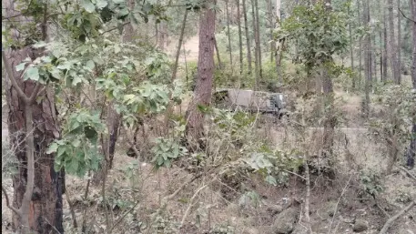 Indian Army Vehicle Attacked By Terrorists In Jammu & Kashmir's Rajouri