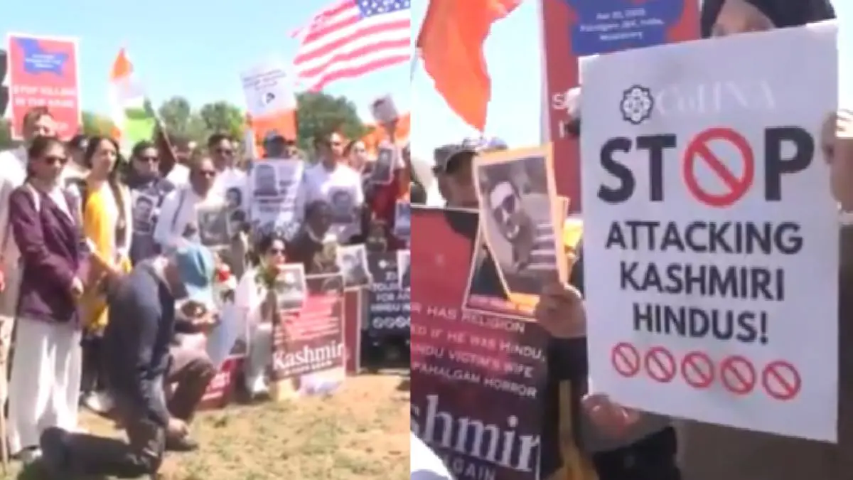 Indian diaspora hold a peaceful demonstration