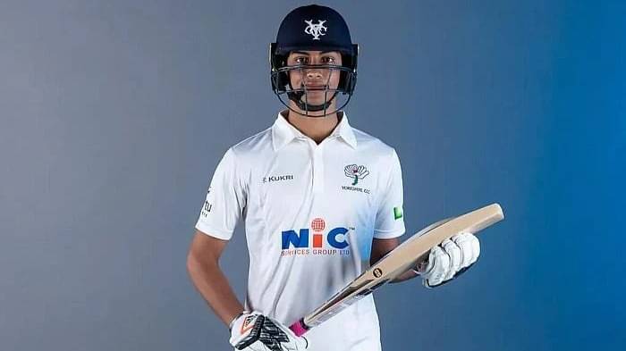 Description of the pic