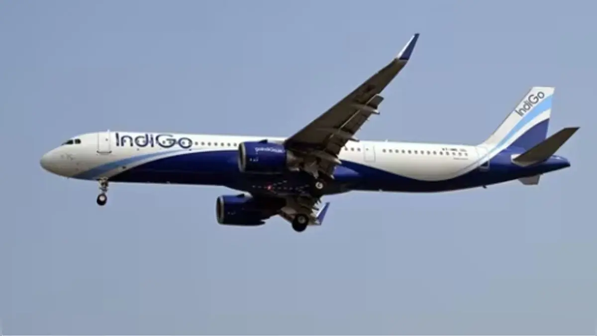 IndiGo Flight Incident: Drunk Passenger Misbehaves, Airline Takes Action