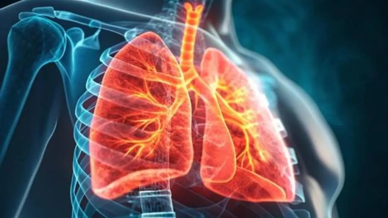 Indoor Air Pollution