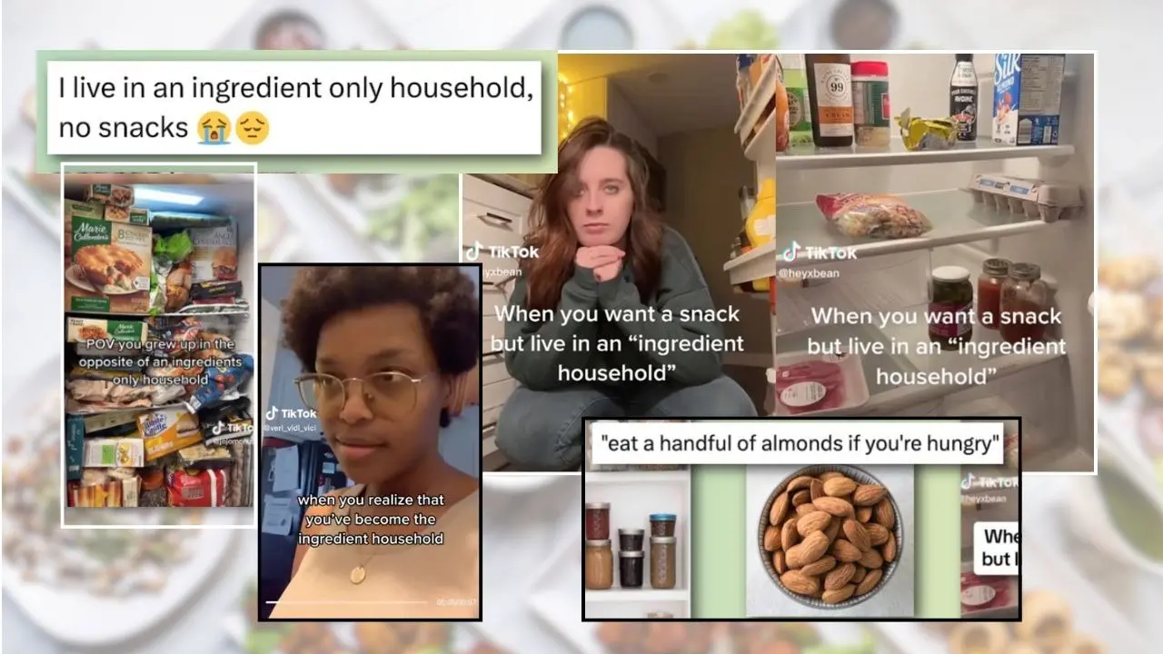 Ingredient Vs Snack Household: Difference Between Viral Instagram Terms