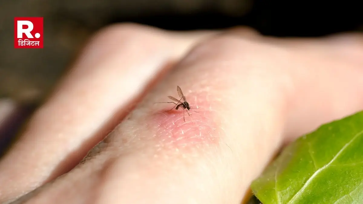 Interesting and Useful Facts about Mosquitoes