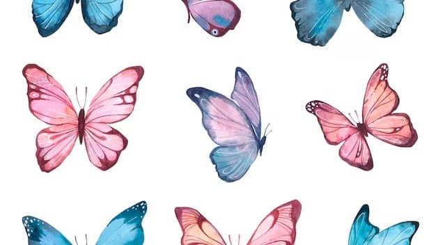 Description of the pic