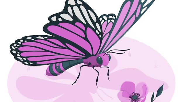 Description of the pic