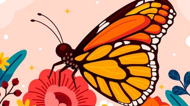 Description of the pic