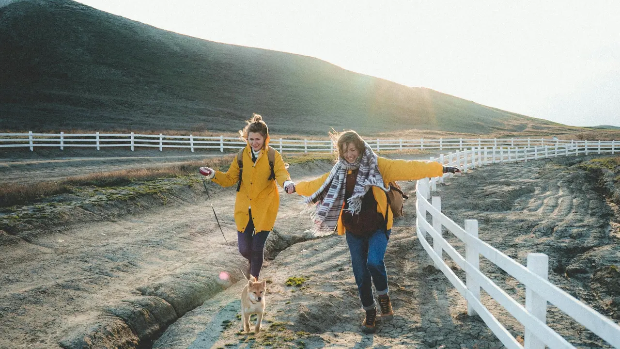 International Dog Day 2024