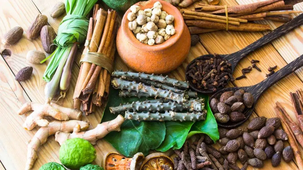 क्या भारत फिर से आयुर्वेद की ओर लौट रहा है? क्यों शहरी युवा फिर चुन रहे हैं प्राचीन वेलनेस Is India returning to Ayurveda Why urban youth are choosing ancient wellness again