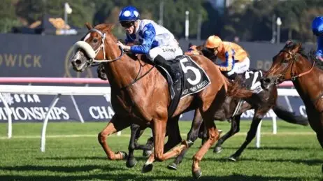 Is The Championships Australia’s New Big Racing Meeting? | Republic World