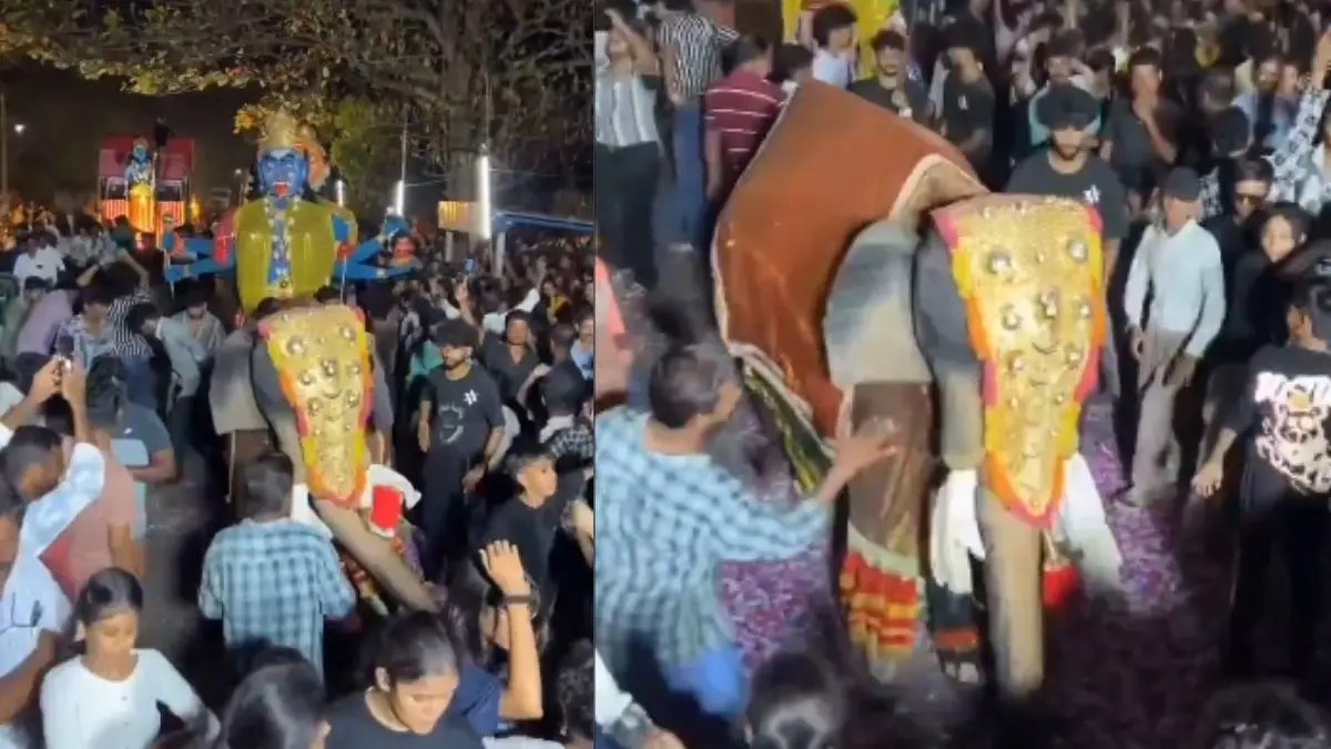 Is the Viral Video of a ‘Dancing’ Elephant Real or Fake? WATCH Is the Viral Video of a ‘Dancing’ Elephant Real or Fake? WATCH