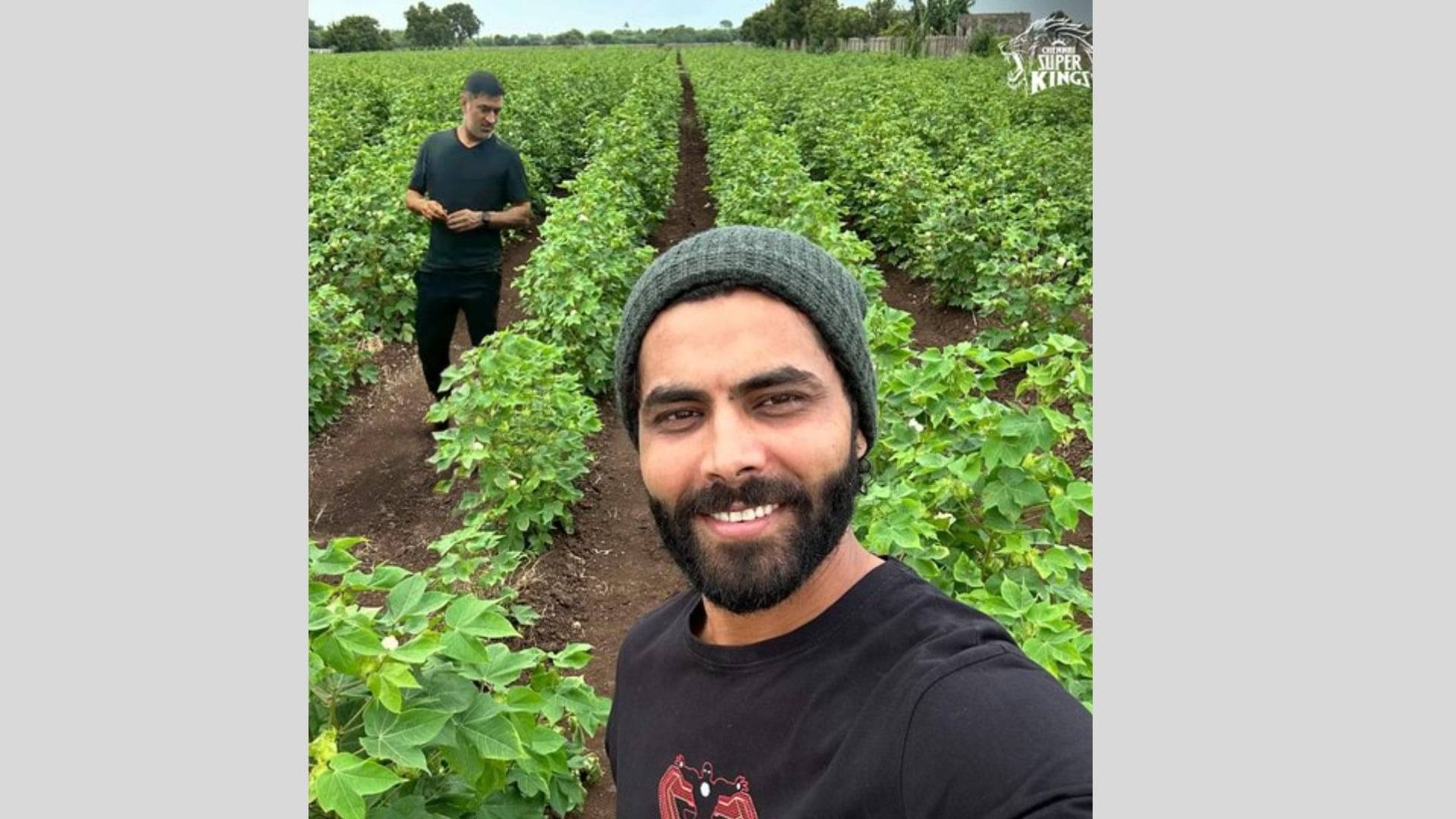 Description of the pic