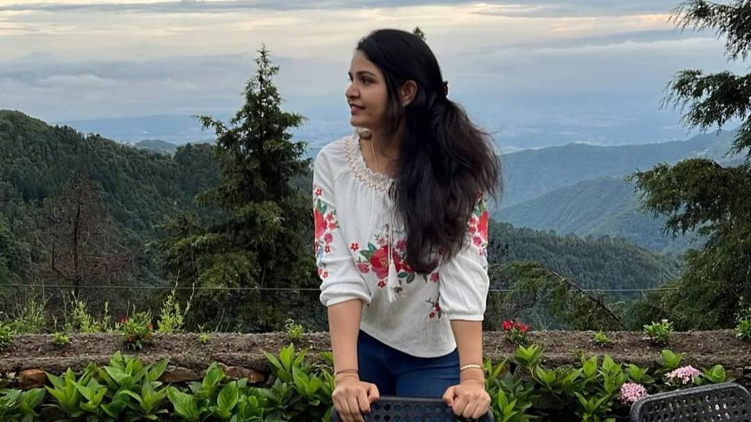 Description of the pic