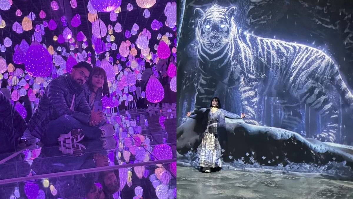 Description of the pic