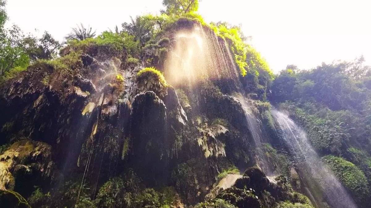 Description of the pic