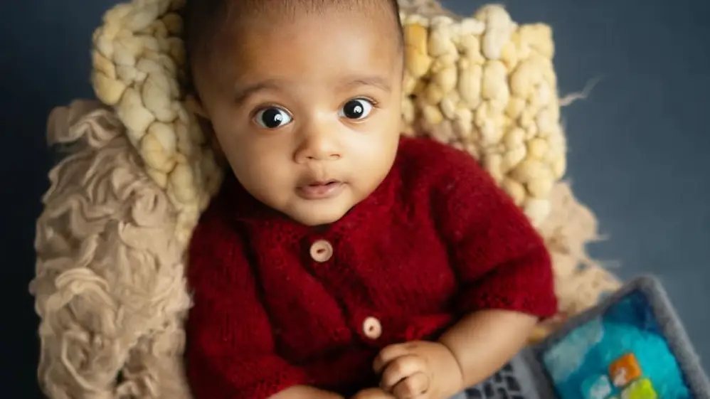 Description of the pic