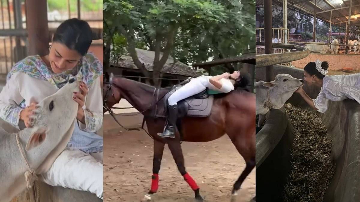 Description of the pic