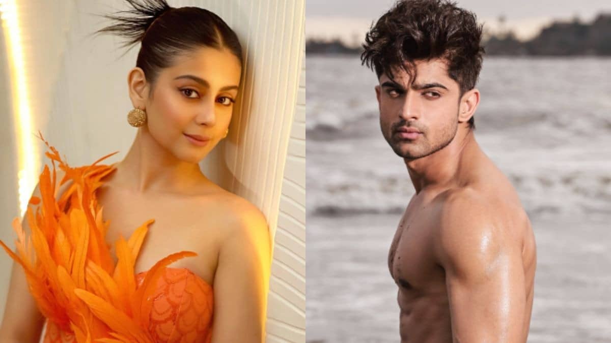 Description of the pic