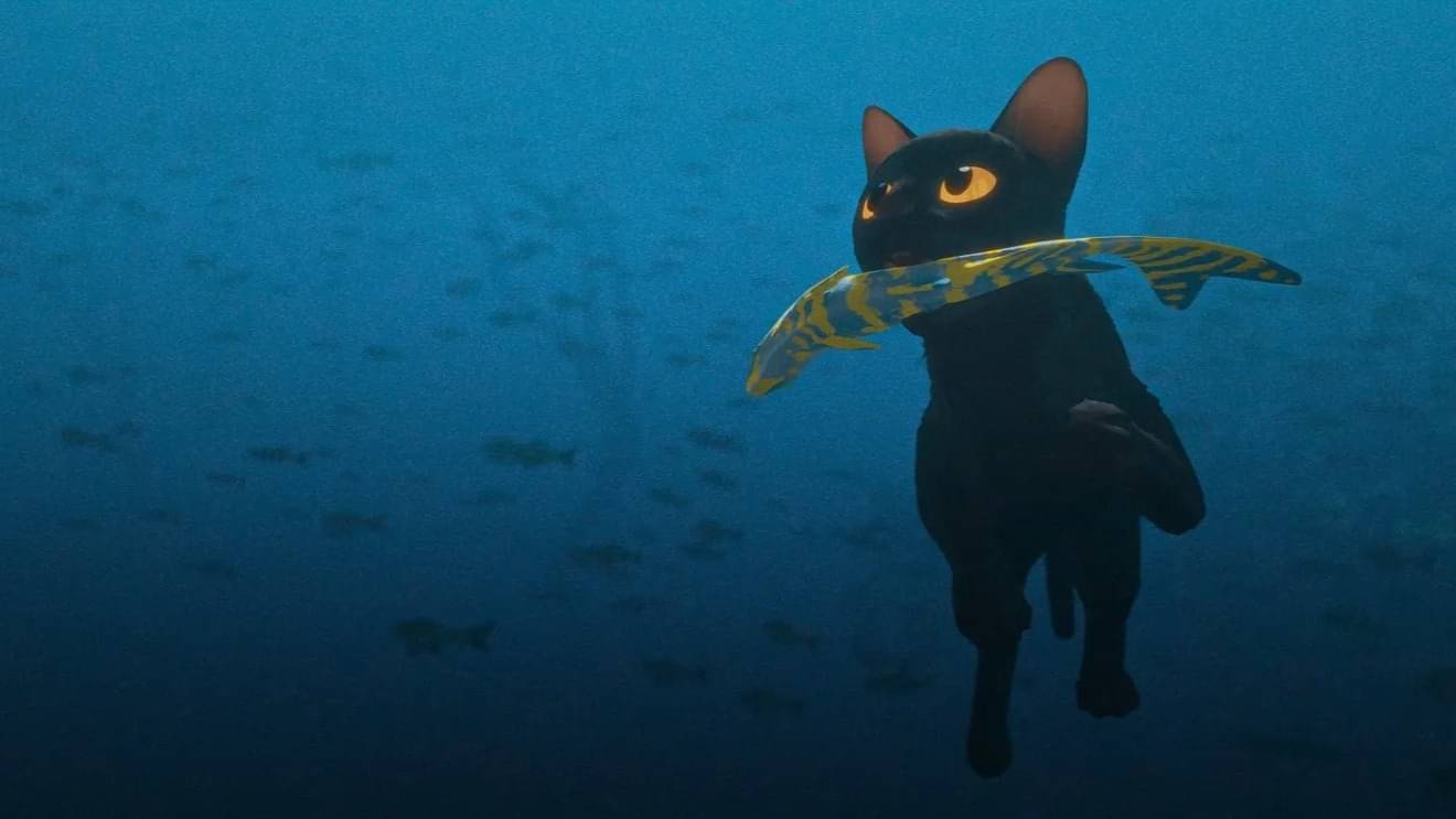 Description of the pic