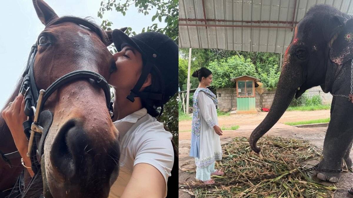 Description of the pic