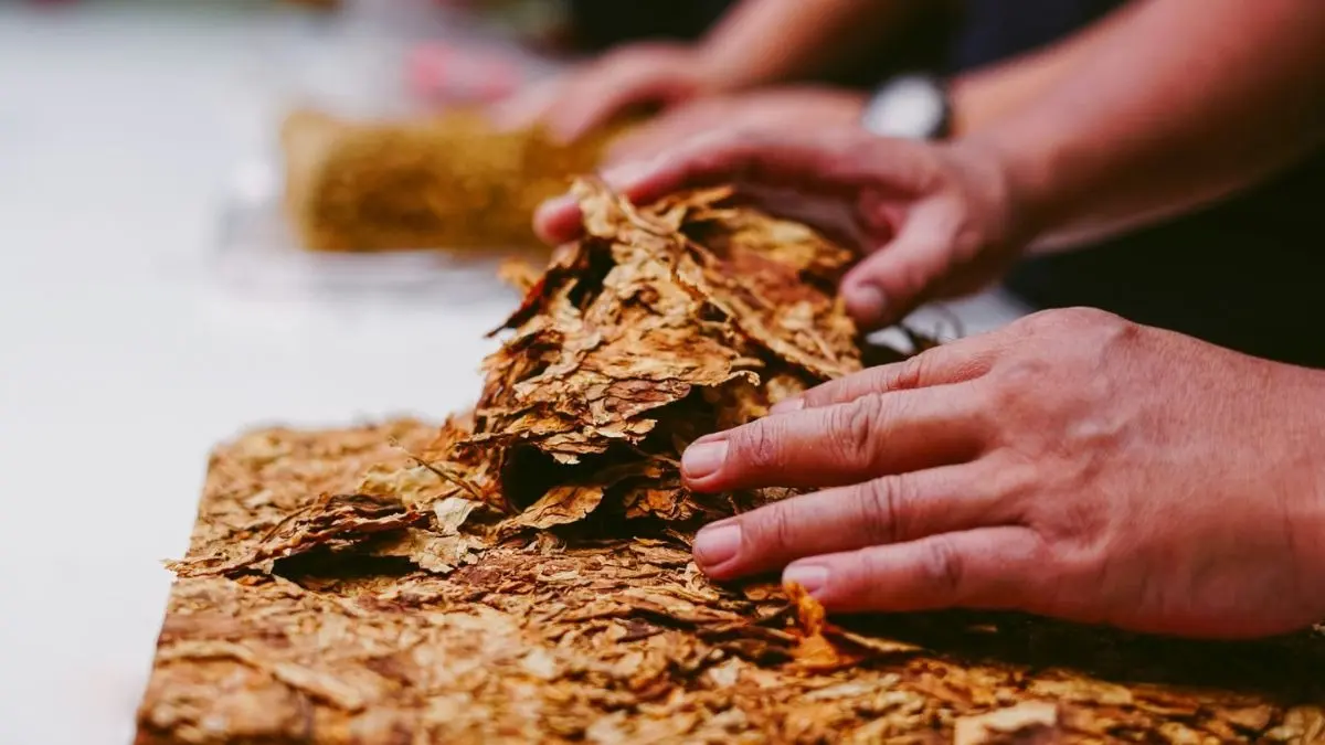 Items Likely to Get Costlier From February 1