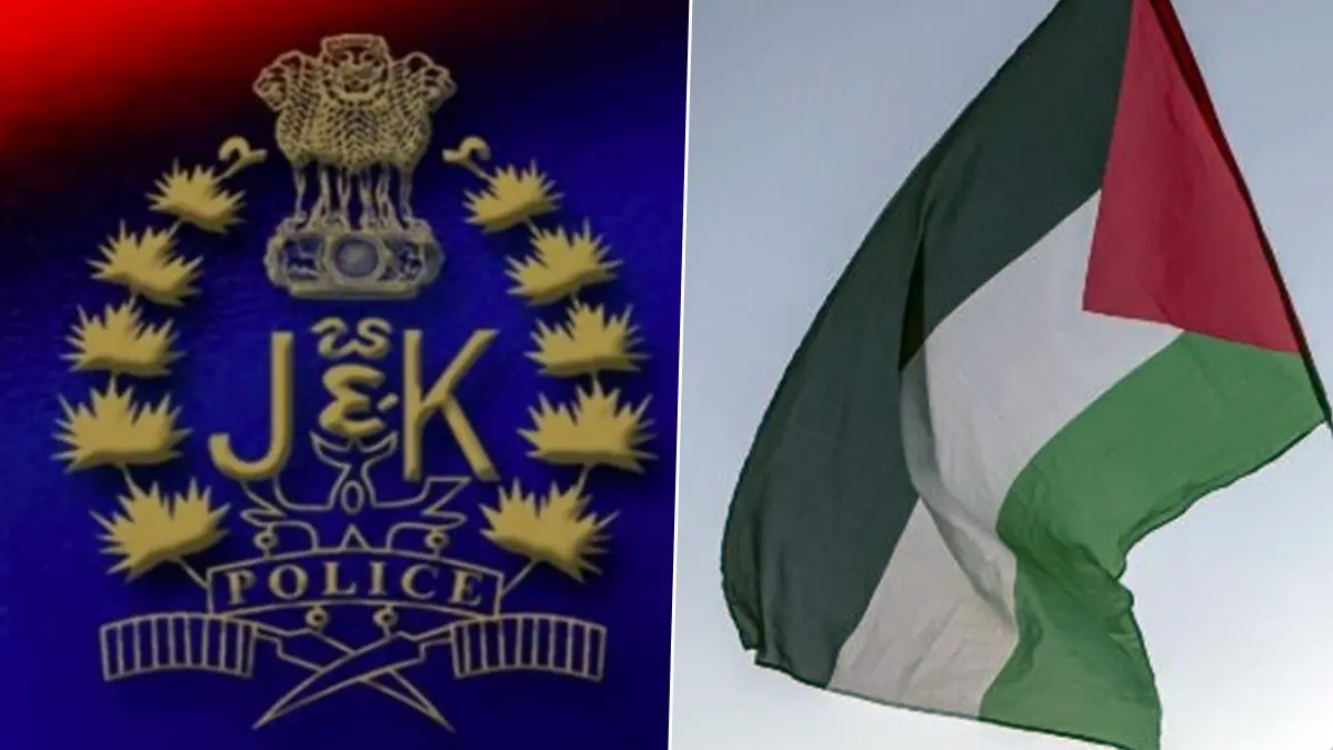 J-K Police Summon Cricketer, Tournament Organiser Over Palestine Flag Display on Helmet