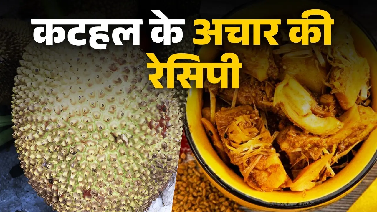 jack fruit pickle recipe at home kathal ka achar banane ki vidhi kya hai