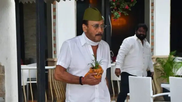 Description of the pic