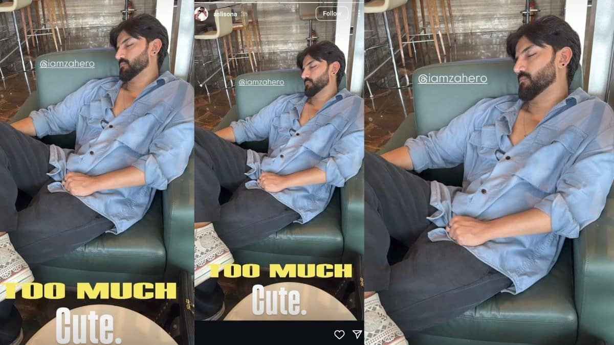 Description of the pic