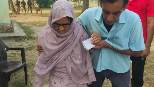 Description of the pic