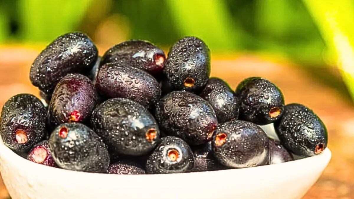 Jamun