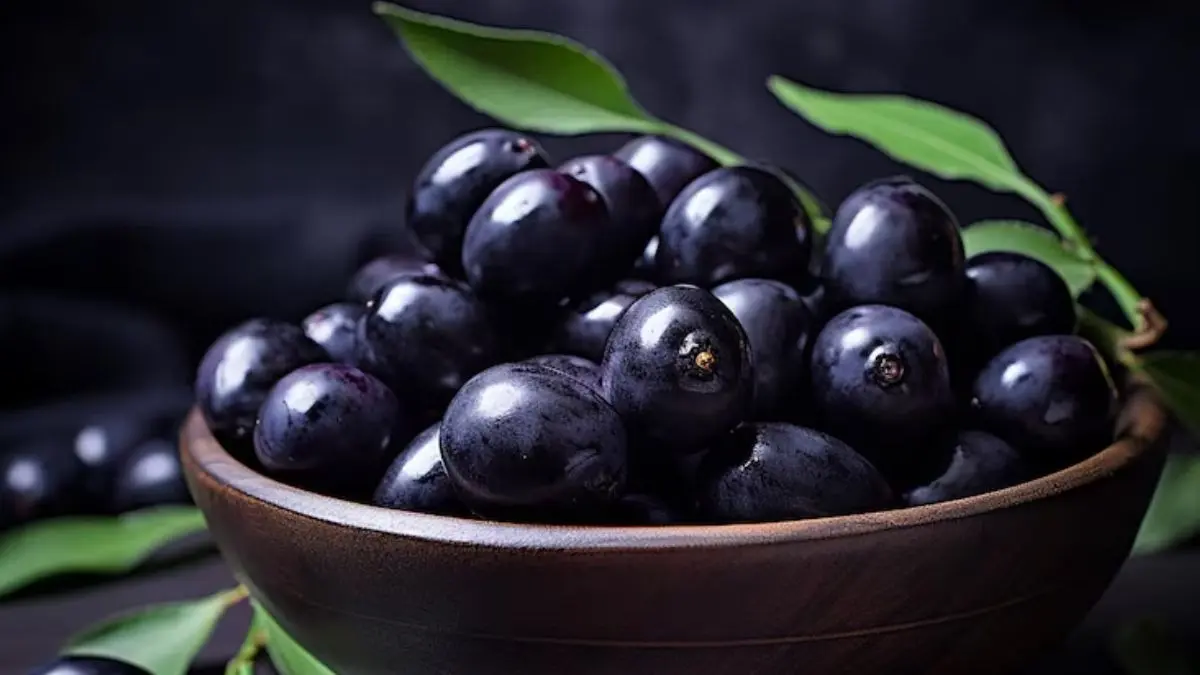 Jamun Seed Powder: सेहत के लिए संजीवनी बूटी है जामुन के बीज से बना पाउडर, खाते ही दिखता है फायदा benefits of jamun seed powder