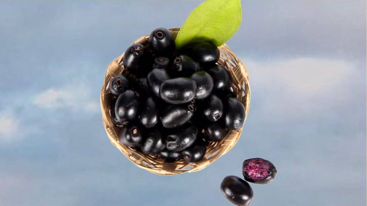 Description of the pic