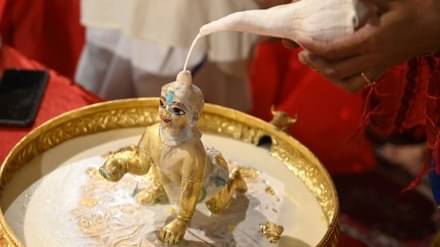 Description of the pic