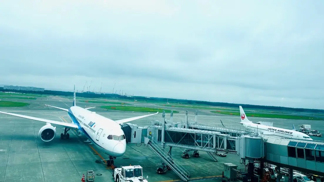 Missing Scissors Cause Chaos at Japan's Second-Busiest Airport, 36 Flight Cancelled Japan's New Chitose Airport