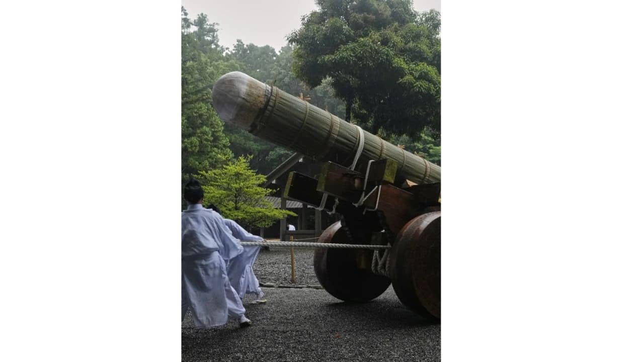 Description of the pic