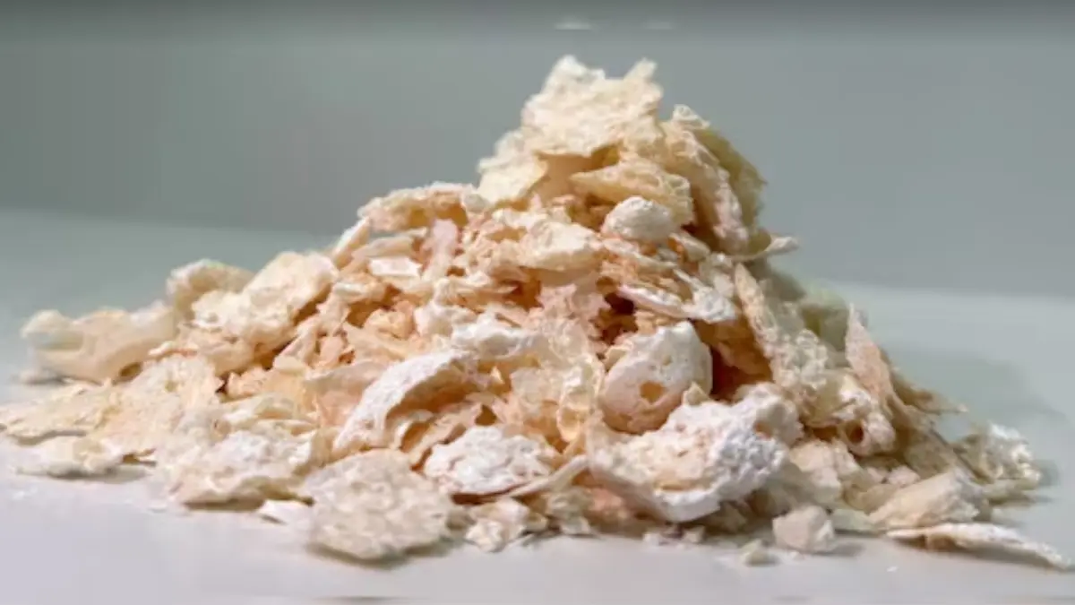 Japanese Scientists Develop Biodegradable Eco Friendly Alternative of Plastic Japan’s Breakthrough in Sustainable Plastic Production