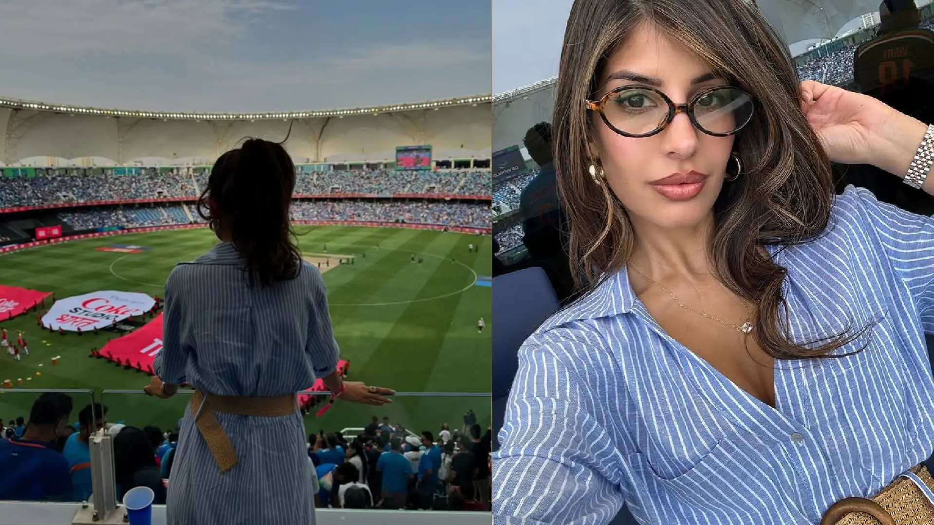 Description of the pic