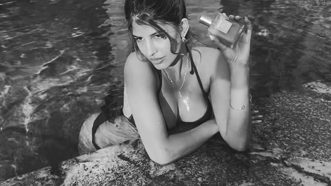 Description of the pic