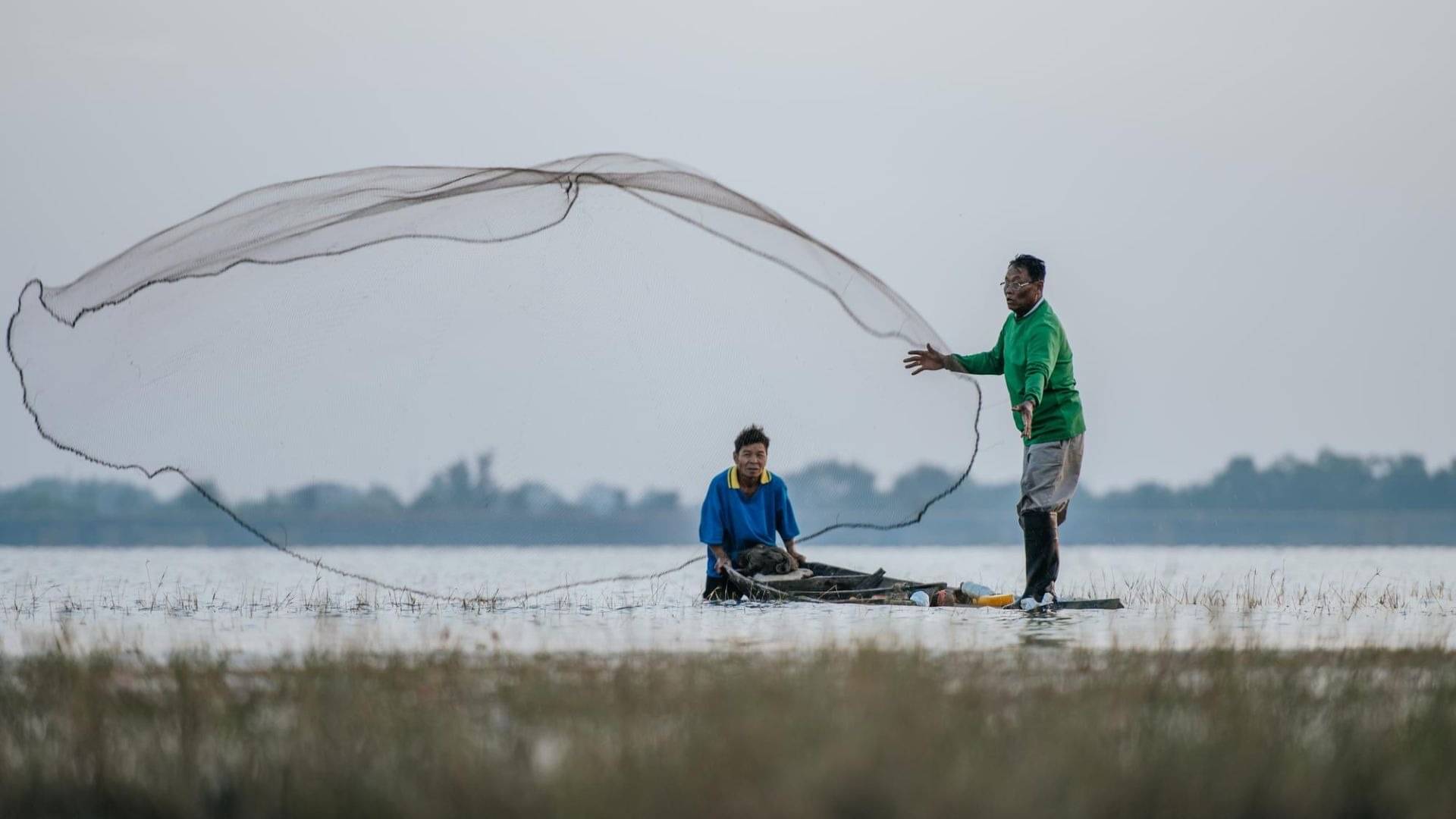 Description of the pic