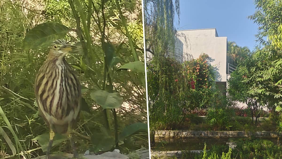 Jim Corbett experience in winter at The Golden Tusk