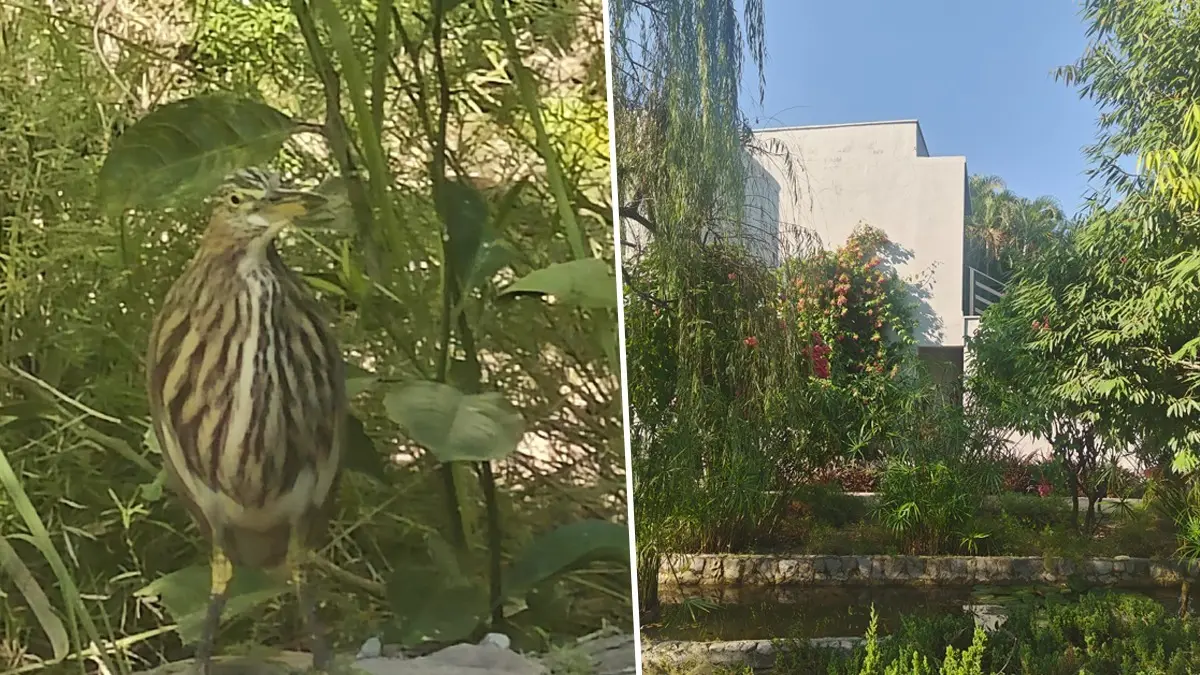 Jim Corbett experience in winter at The Golden Tusk