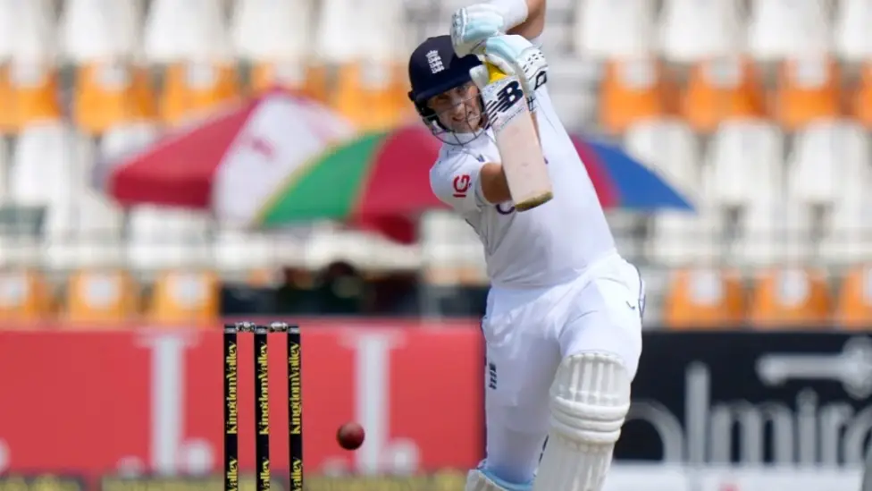 Description of the pic