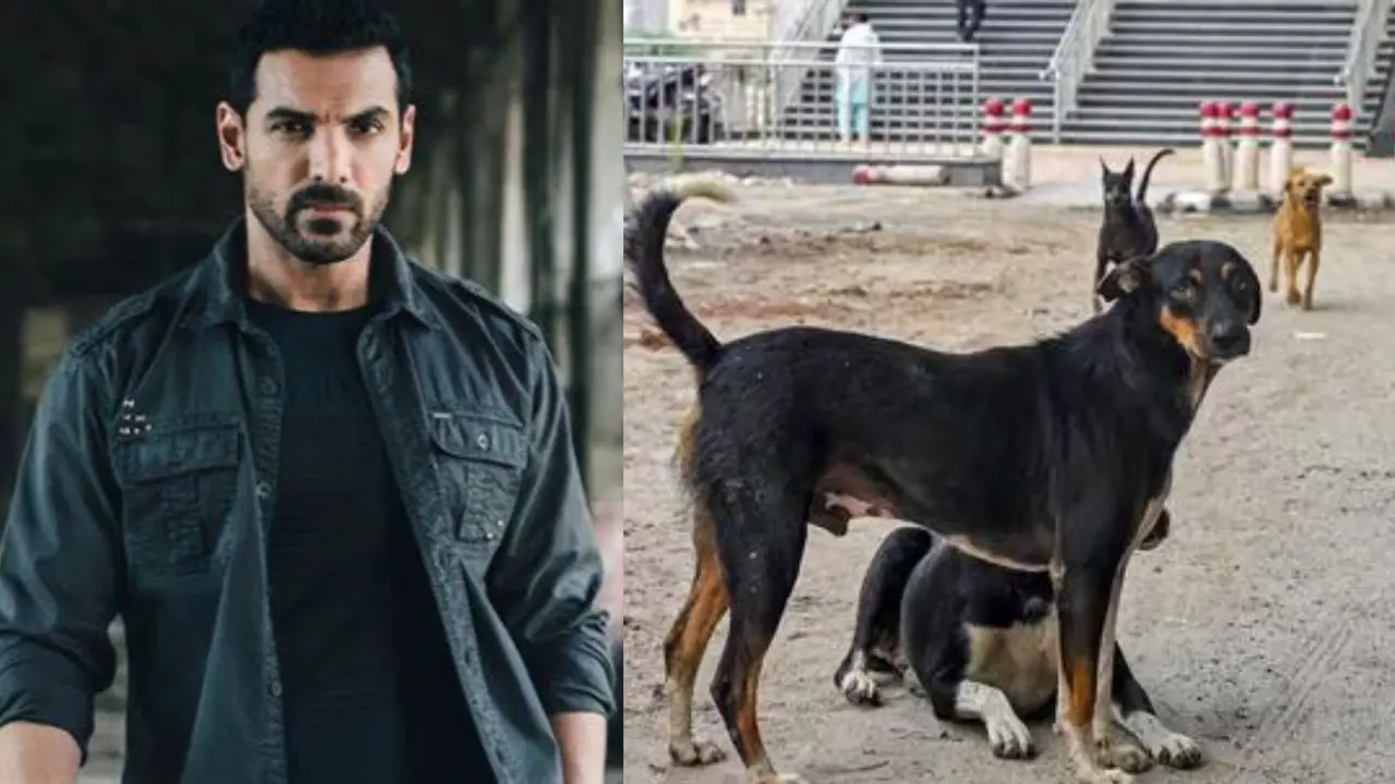 john abraham on supreme court decision on stray dogs