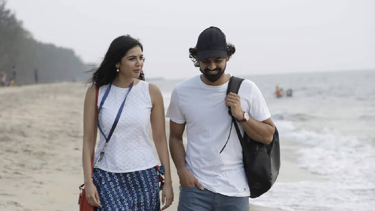 Description of the pic