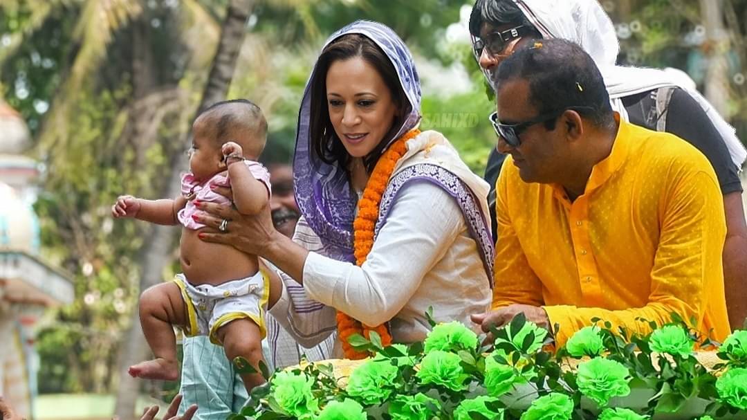 Description of the pic