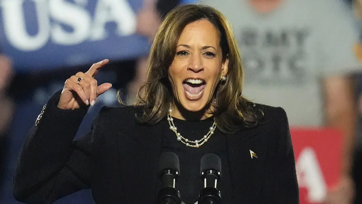 Kamala Harris, US elections 2024