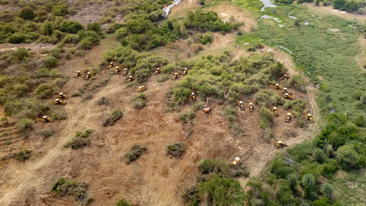 Telangana Government's U-Turn: Kancha Gachibowli Land to Become World's Largest Eco Park? Kancha Gachibowli Land to Become World's Largest Eco Park?